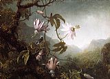 Famous Perched Paintings - Hummingbird Perched near Passion Flowers